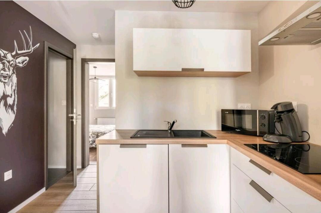 Le Nature 1 Chambre Et Sauna Colmar Zewnętrze zdjęcie